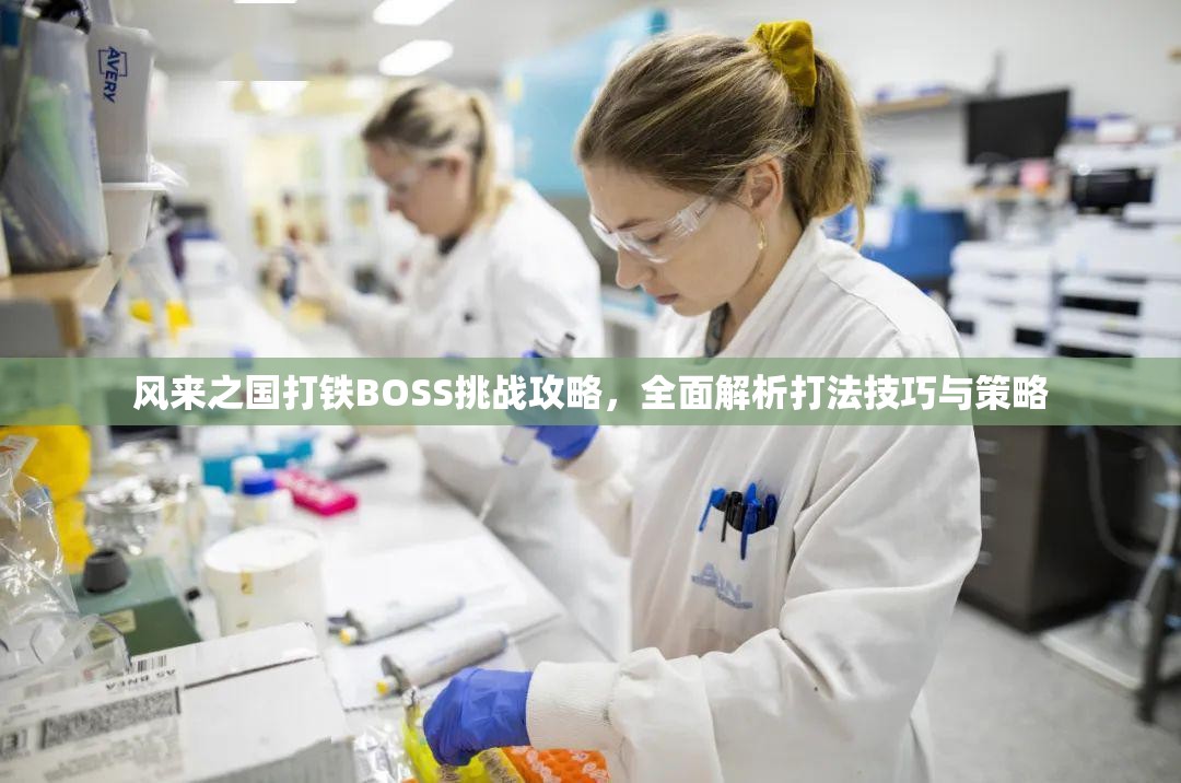 风来之国打铁BOSS挑战攻略，全面解析打法技巧与策略