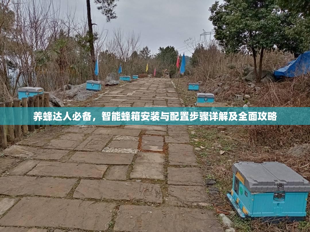 养蜂达人必备，智能蜂箱安装与配置步骤详解及全面攻略