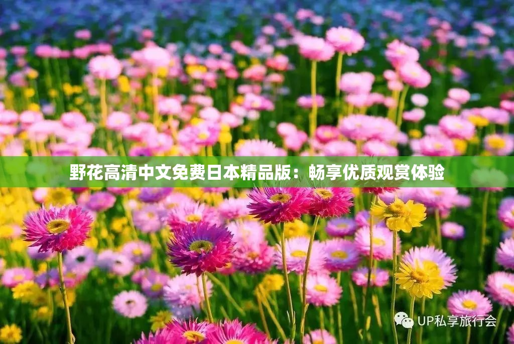 野花高清中文免费日本精品版：畅享优质观赏体验