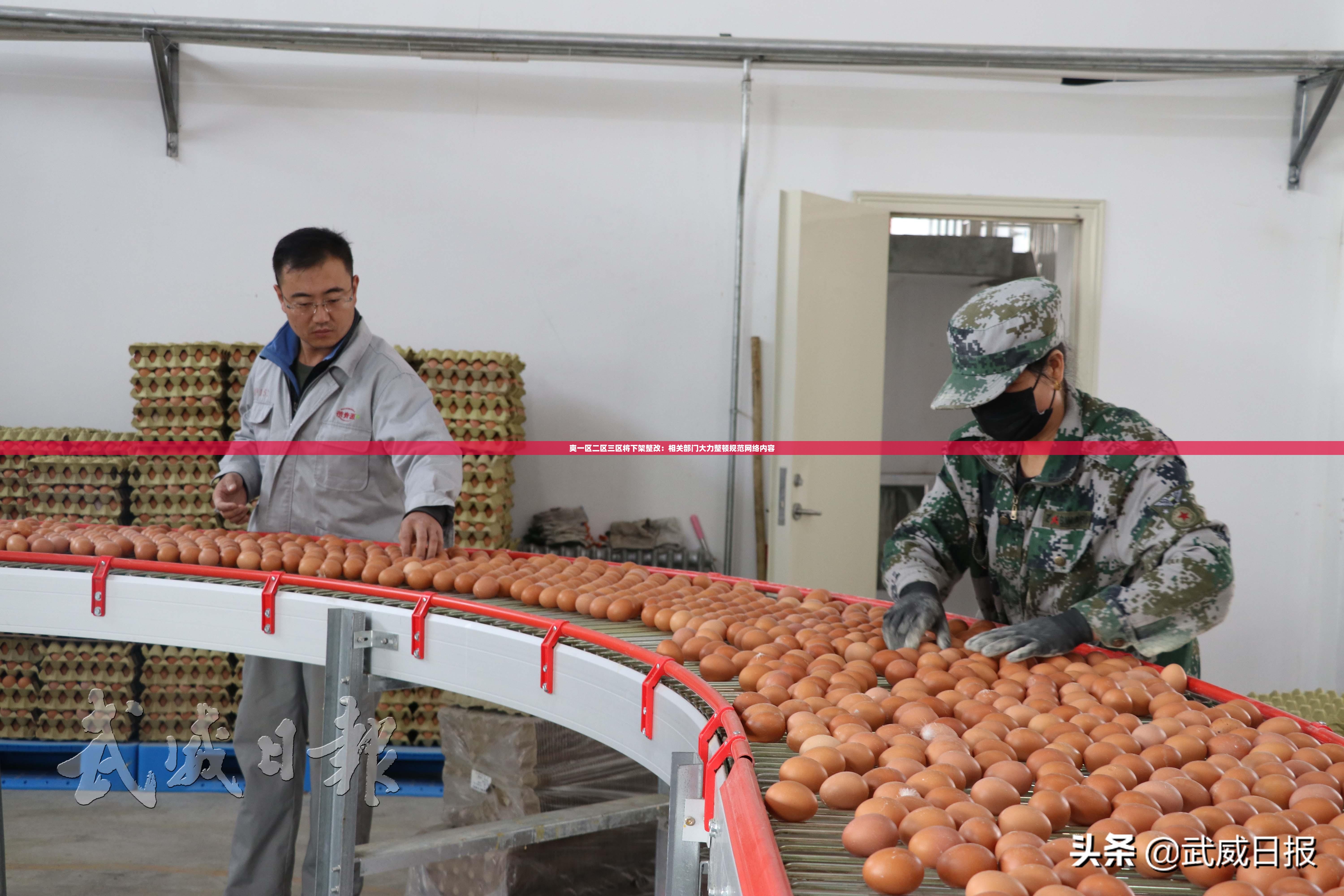 爽一区二区三区将下架整改：相关部门大力整顿规范网络内容