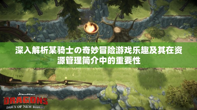 深入解析某骑士の奇妙冒险游戏乐趣及其在资源管理简介中的重要性