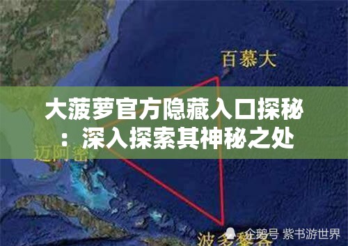 大菠萝官方隐藏入口探秘：深入探索其神秘之处
