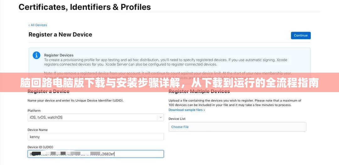脑回路电脑版下载与安装步骤详解，从下载到运行的全流程指南