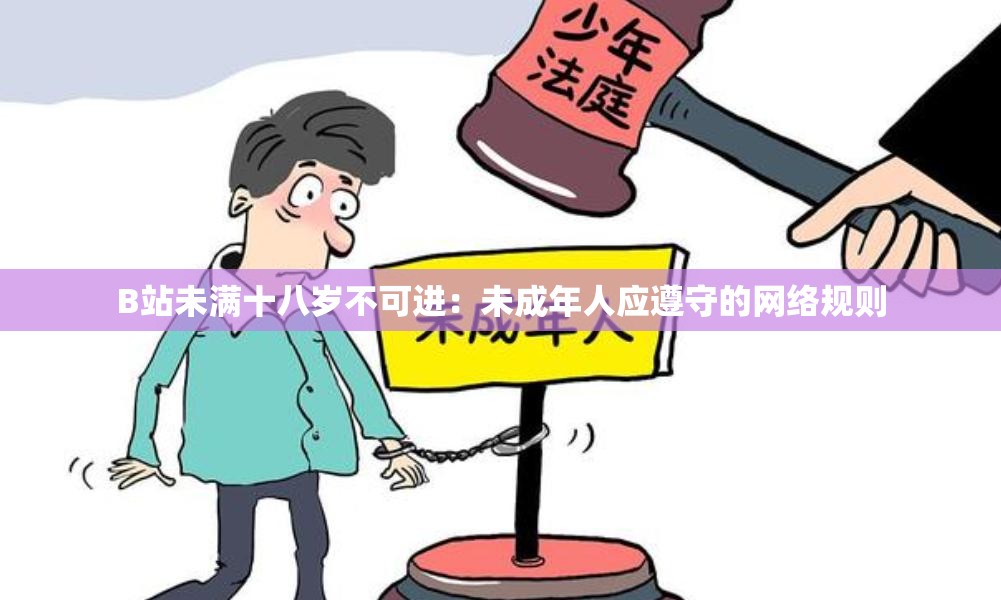 B站未满十八岁不可进:未成年人应遵守的网络规则 B站未满十八岁不可进:未成年人应遵守的网络规则