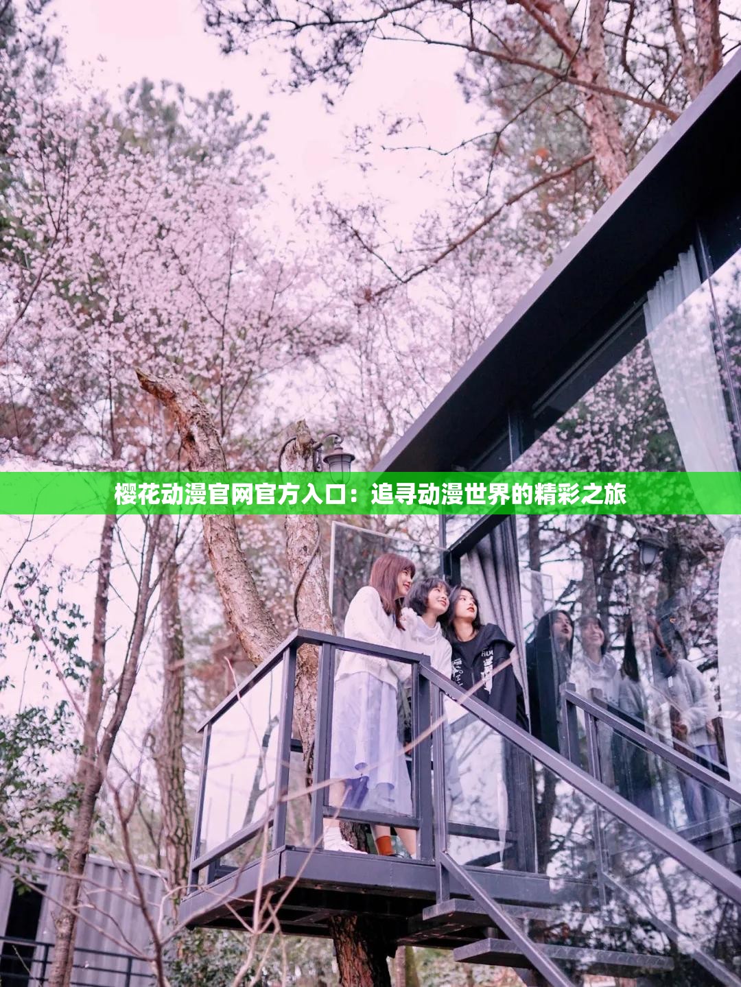 樱花动漫官网官方入口：追寻动漫世界的精彩之旅