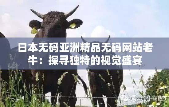 日本无码亚洲精品无码网站老牛：探寻独特的视觉盛宴