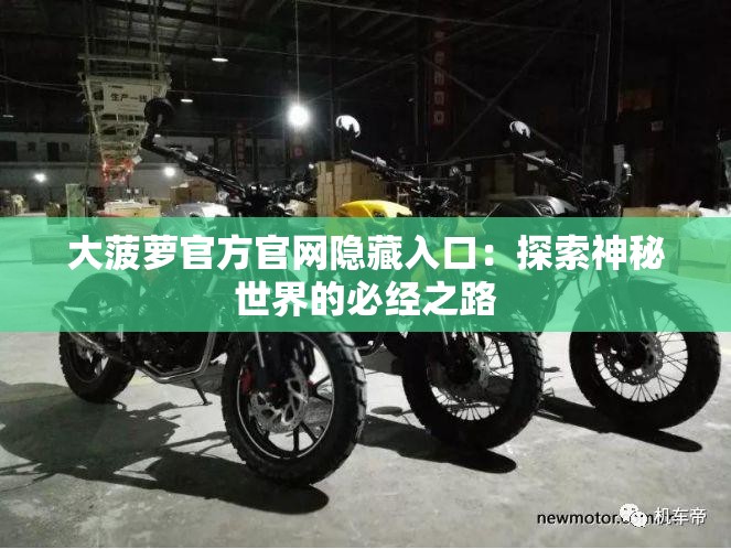大菠萝官方官网隐藏入口：探索神秘世界的必经之路