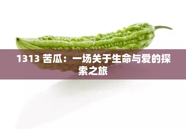 1313 苦瓜：一场关于生命与爱的探索之旅