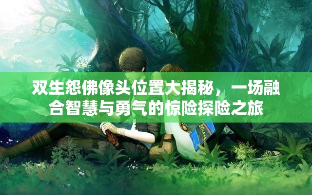 双生怨佛像头位置大揭秘，一场融合智慧与勇气的惊险探险之旅