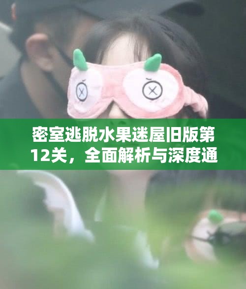 密室逃脱水果迷屋旧版第12关，全面解析与深度通关策略指南