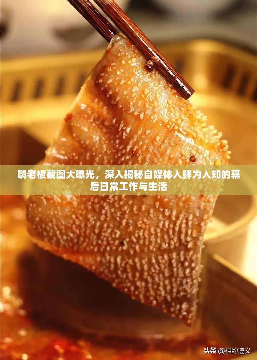 嗨老板截图大曝光，深入揭秘自媒体人鲜为人知的幕后日常工作与生活