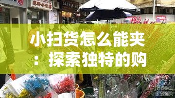 小扫货怎么能夹：探索独特的购物技巧与策略