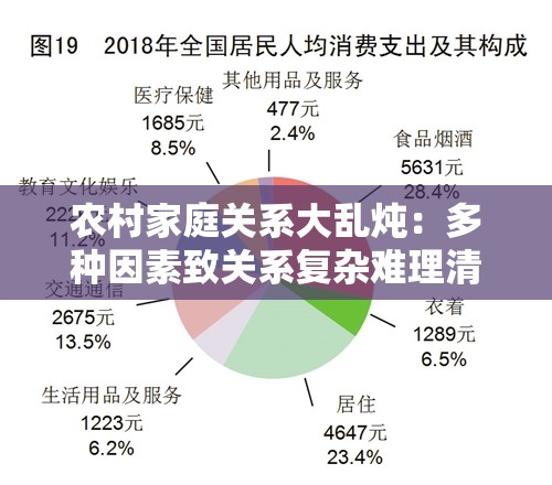农村家庭关系大乱炖：多种因素致关系复杂难理清
