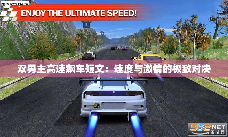 双男主高速飙车短文：速度与激情的极致对决