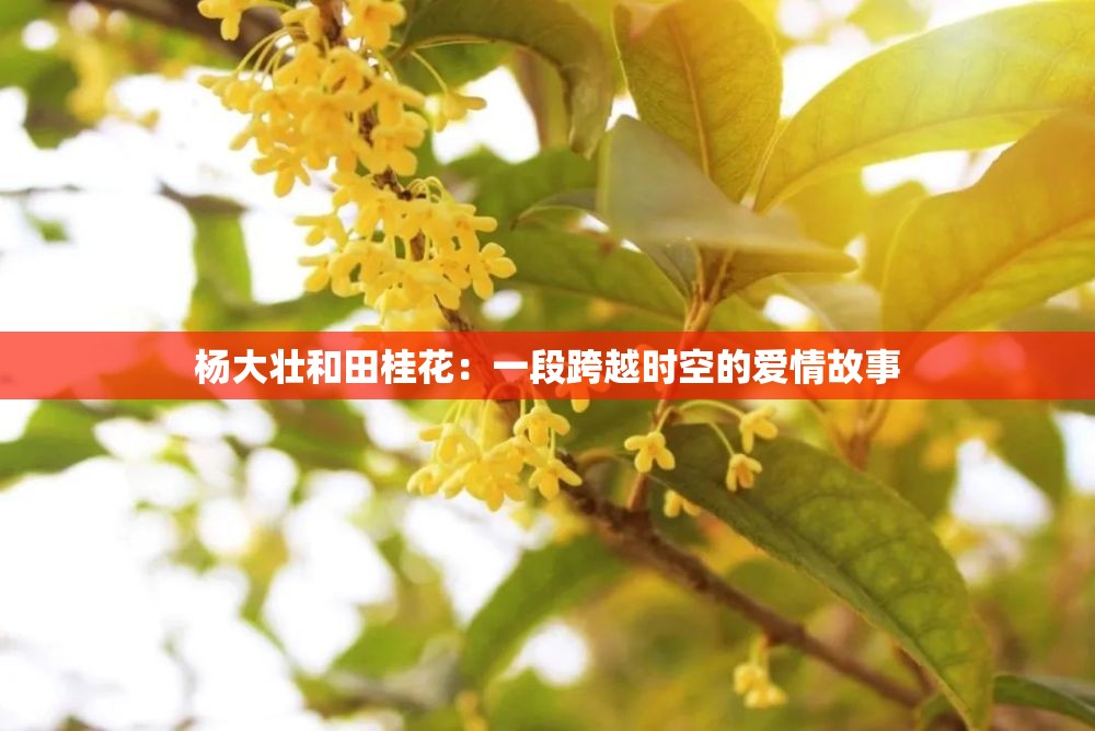 杨大壮和田桂花：一段跨越时空的爱情故事
