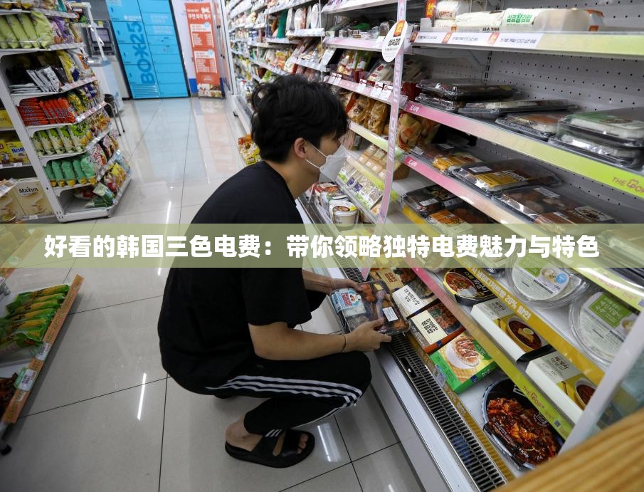 好看的韩国三色电费：带你领略独特电费魅力与特色