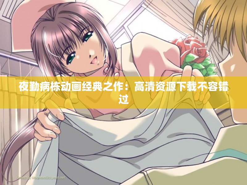 夜勤病栋动画经典之作：高清资源下载不容错过