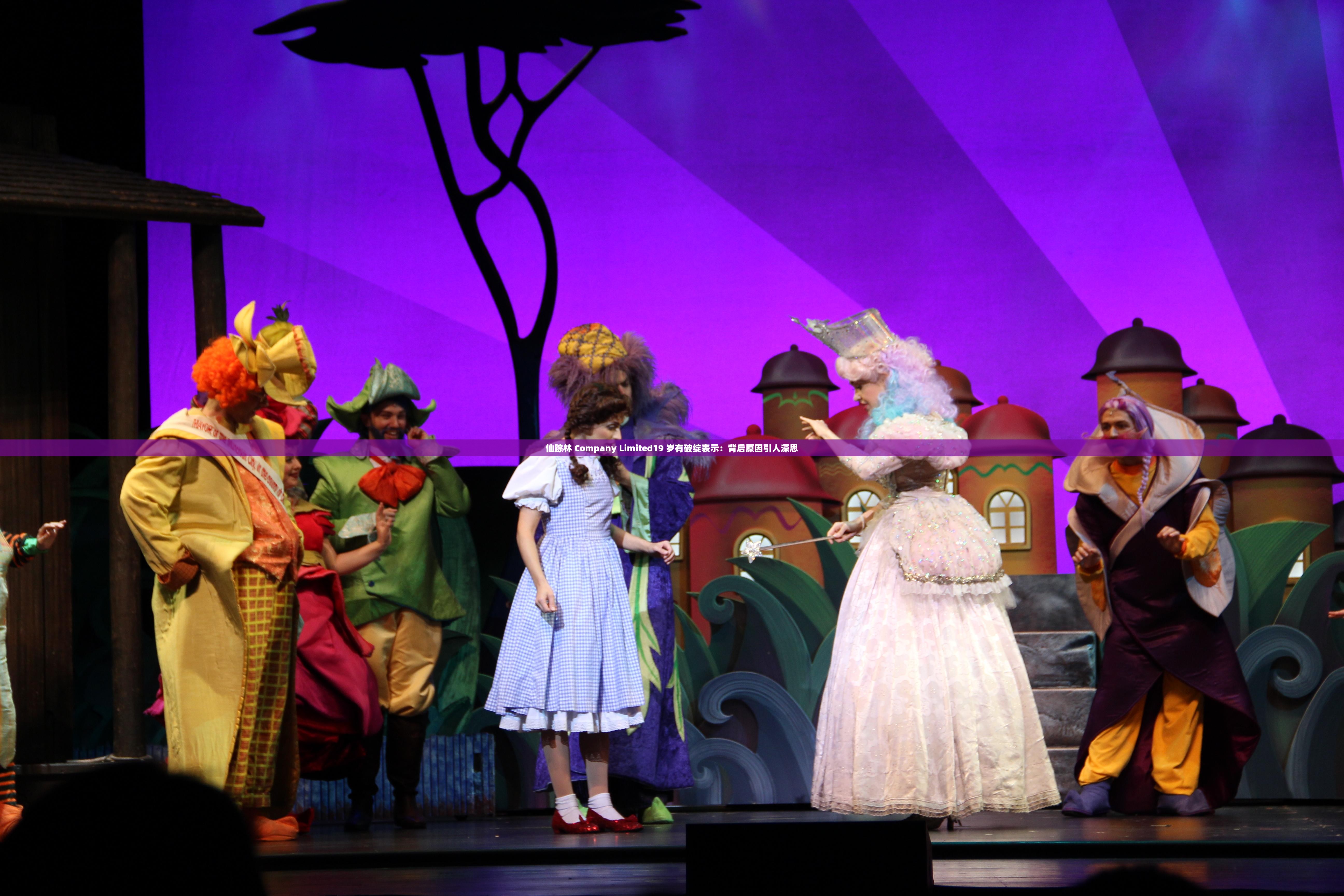 仙踪林 Company Limited19 岁有破绽表示：背后原因引人深思