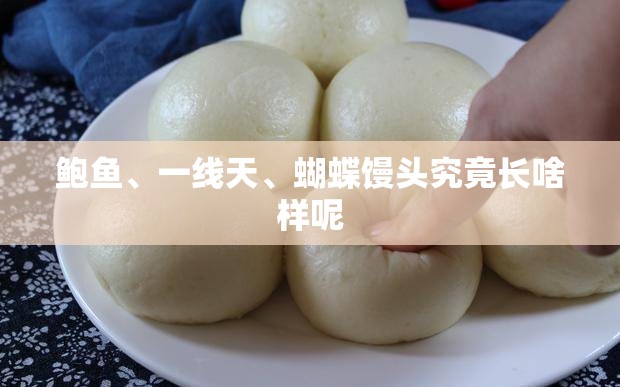 鲍鱼、一线天、蝴蝶馒头究竟长啥样呢