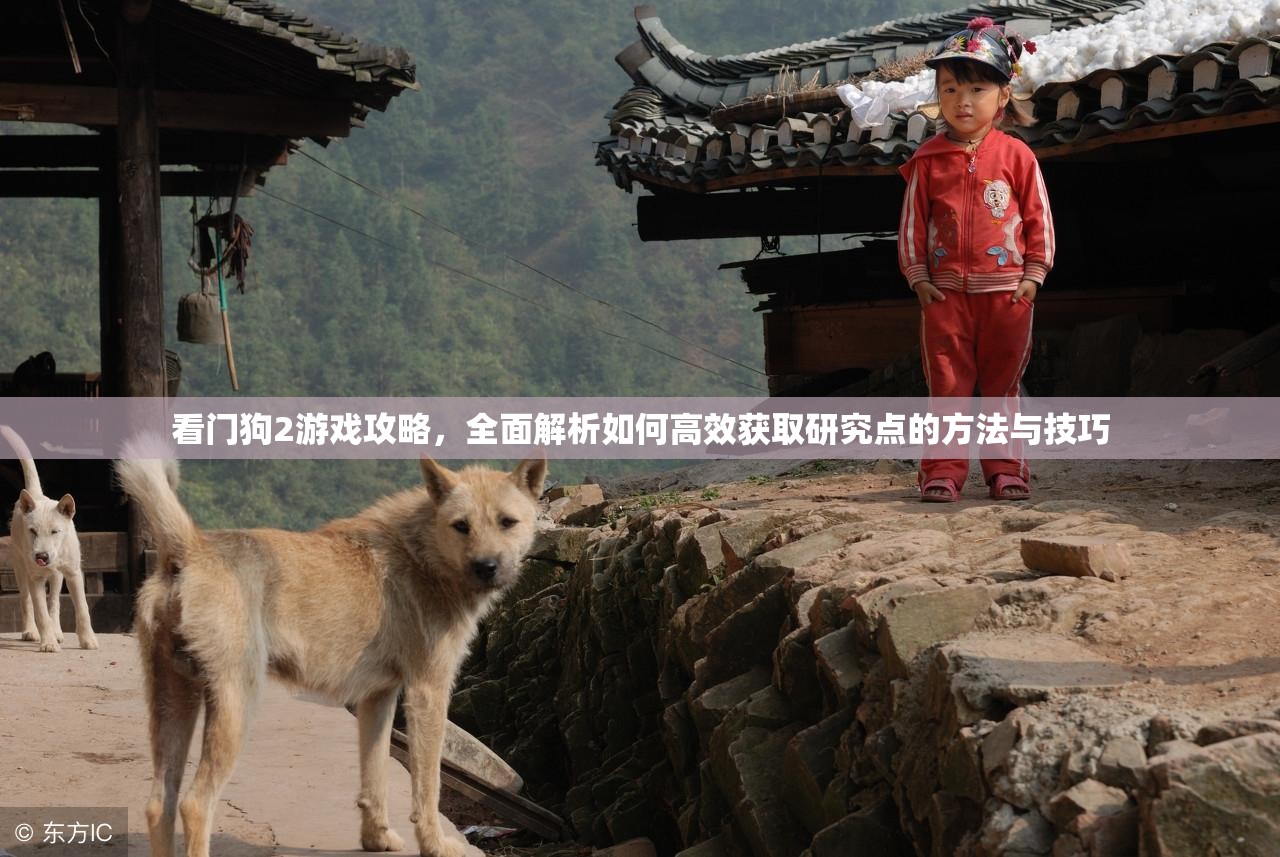 看门狗2游戏攻略，全面解析如何高效获取研究点的方法与技巧