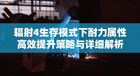 辐射4生存模式下耐力属性高效提升策略与详细解析攻略
