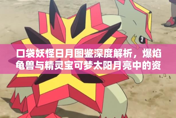 口袋妖怪日月图鉴深度解析，爆焰龟兽与精灵宝可梦太阳月亮中的资源管理策略艺术