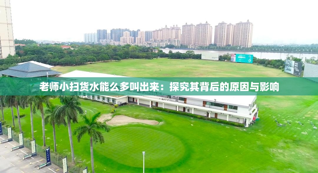 老师小扫货水能么多叫出来：探究其背后的原因与影响