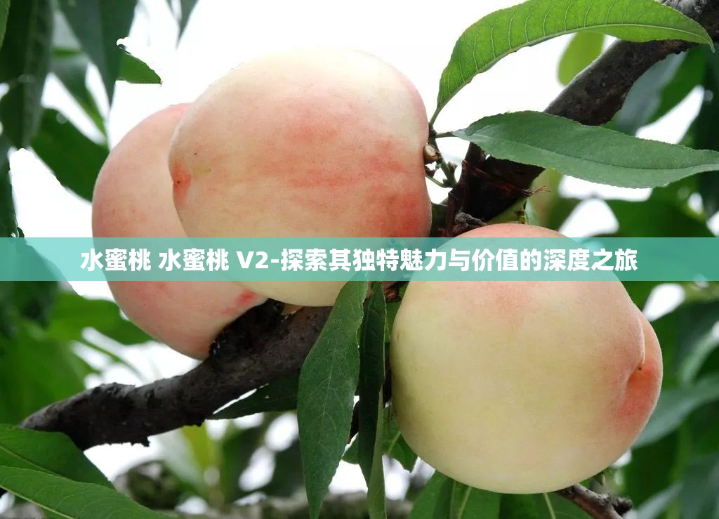 水蜜桃 水蜜桃 V2-探索其独特魅力与价值的深度之旅