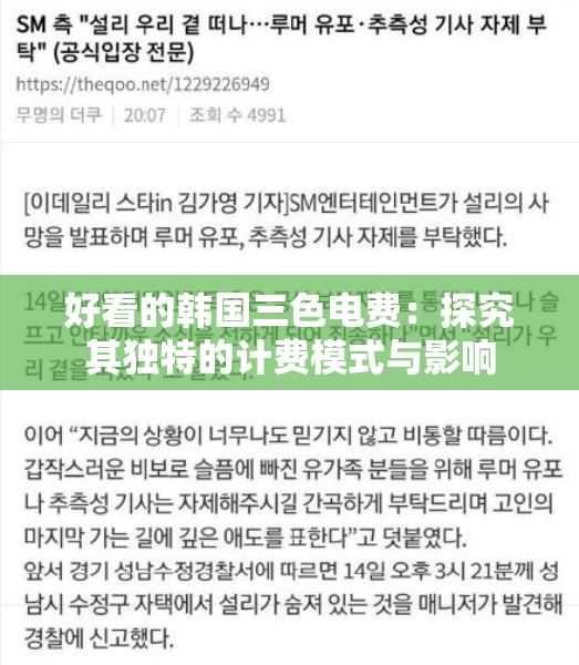 好看的韩国三色电费：探究其独特的计费模式与影响