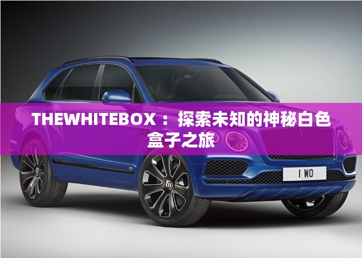 THEWHITEBOX ：探索未知的神秘白色盒子之旅