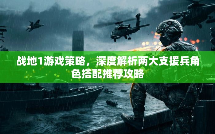 战地1游戏策略,深度解析两大支援兵角色搭配推荐攻略 战地1游戏策略,深度解析两大支援兵角色搭配推荐攻略