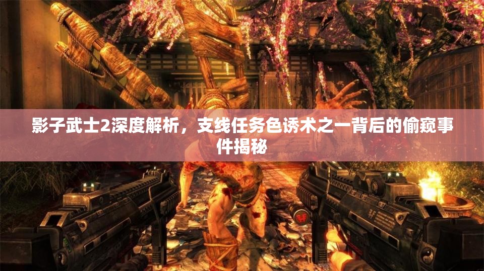 影子武士2深度解析,支线任务色诱术之一背后的偷窥事件揭秘 影子武士2深度解析,支线任务色诱术之一背后的偷窥事件揭秘