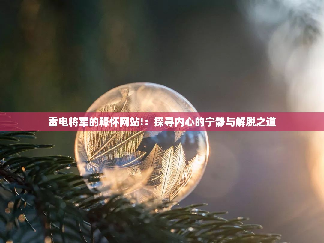 雷电将军的释怀网站!：探寻内心的宁静与解脱之道