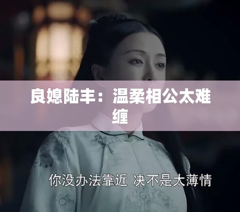 良媳陆丰：温柔相公太难缠