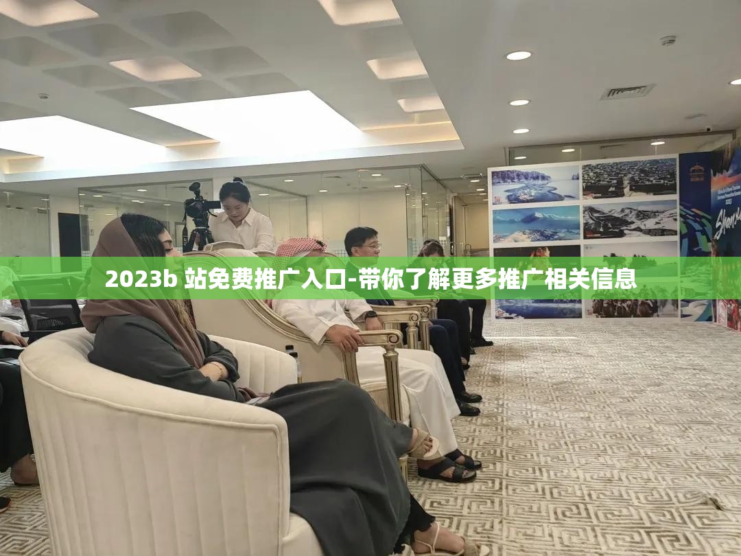 2023b 站免费推广入口-带你了解更多推广相关信息