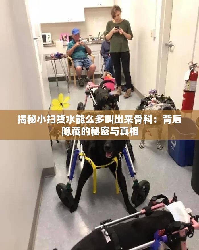 揭秘小扫货水能么多叫出来骨科：背后隐藏的秘密与真相