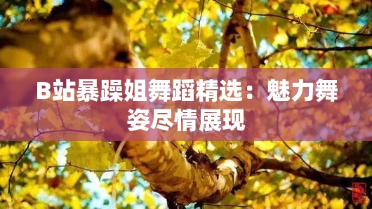 B站暴躁姐舞蹈精选：魅力舞姿尽情展现
