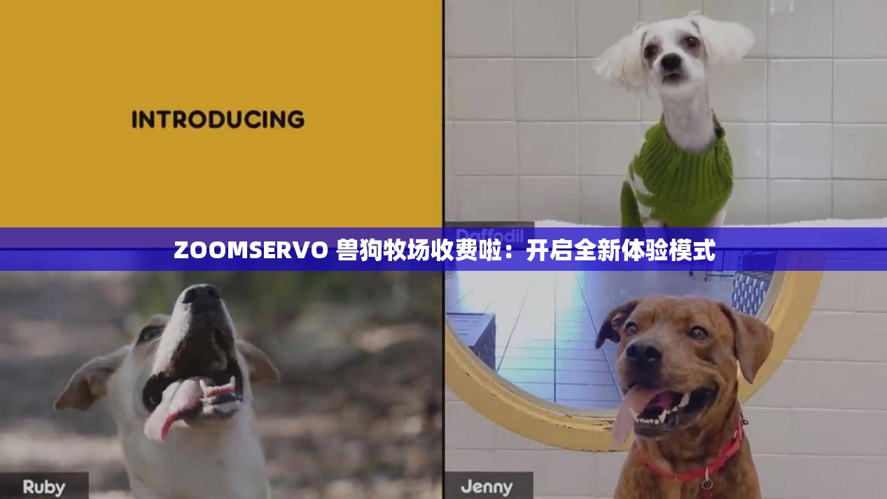 ZOOMSERVO 兽狗牧场收费啦：开启全新体验模式