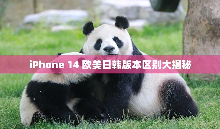 iPhone 14 欧美日韩版本区别大揭秘 iPhone 14 欧美日韩版本区别大揭秘