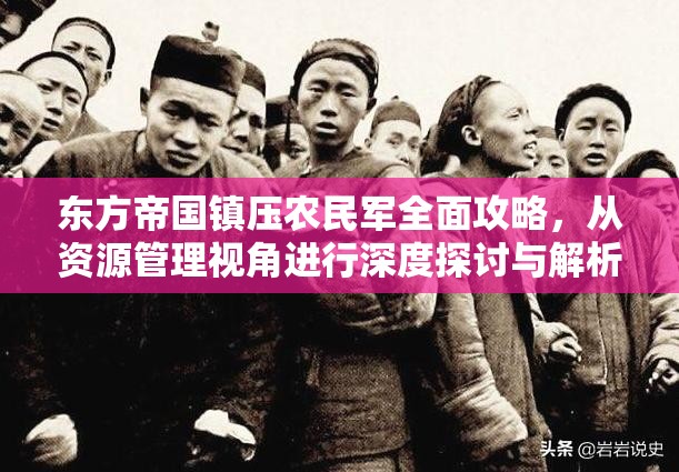 东方帝国镇压农民军全面攻略，从资源管理视角进行深度探讨与解析