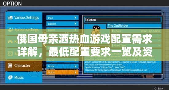 俄国母亲洒热血游戏配置需求详解，最低配置要求一览及资源管理优化策略