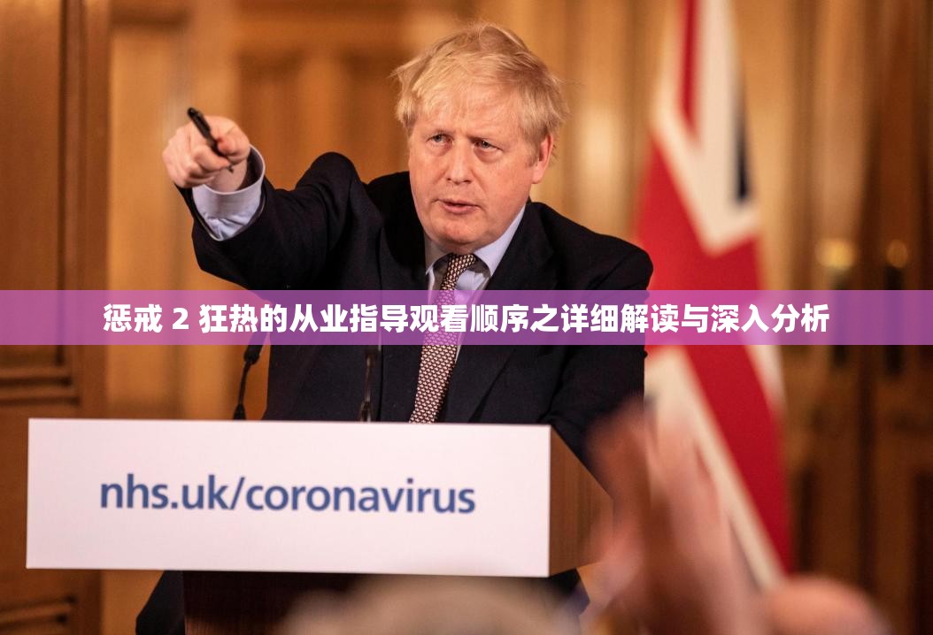 惩戒 2 狂热的从业指导观看顺序之详细解读与深入分析