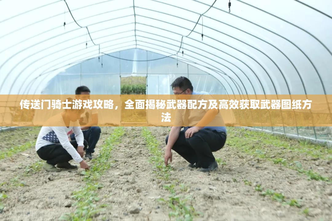 传送门骑士游戏攻略，全面揭秘武器配方及高效获取武器图纸方法