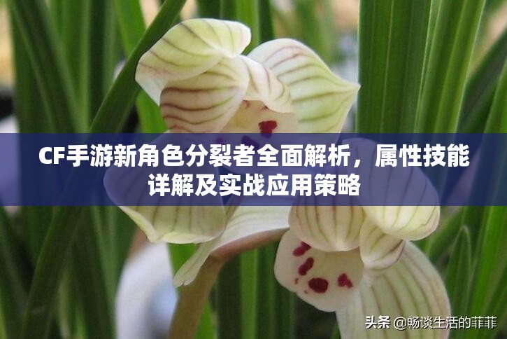 CF手游新角色分裂者全面解析，属性技能详解及实战应用策略