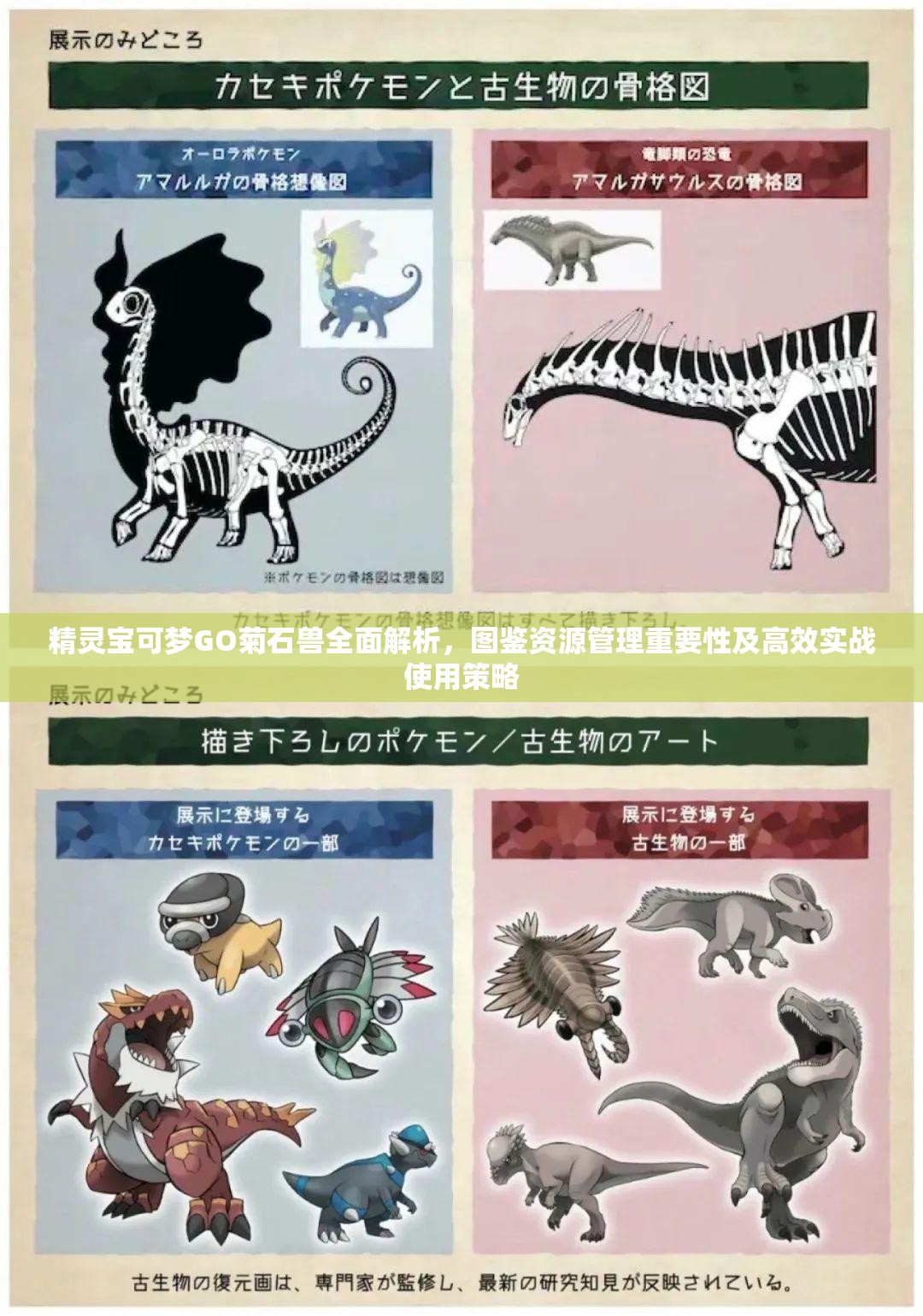 精灵宝可梦GO菊石兽全面解析，图鉴资源管理重要性及高效实战使用策略