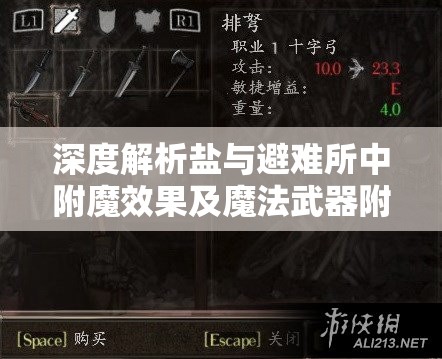 深度解析盐与避难所中附魔效果及魔法武器附魔效果分解的全方位探讨