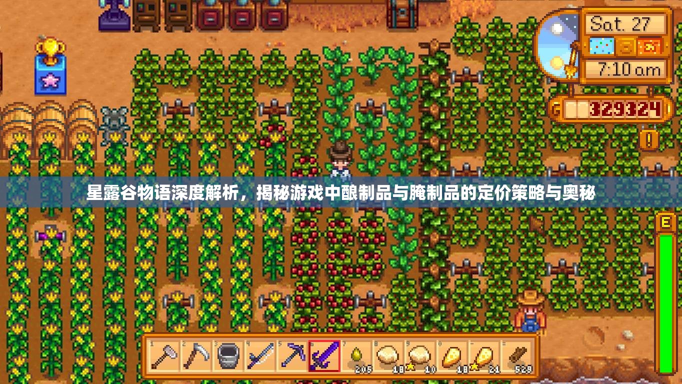 星露谷物语深度解析，揭秘游戏中酿制品与腌制品的定价策略与奥秘