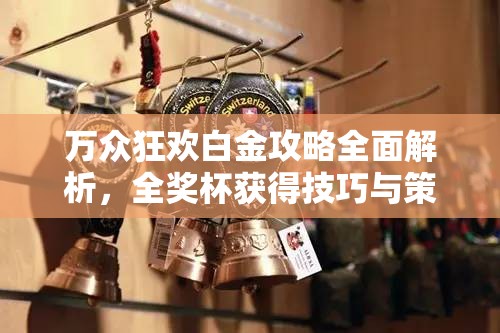 万众狂欢白金攻略全面解析，全奖杯获得技巧与策略大揭秘