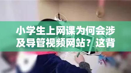小学生上网课为何会涉及导管视频网站?这背后到底隐藏着怎样的情况? 小学生上网课为何会涉及导管视频网站?这背后到底隐藏着怎样的情况?