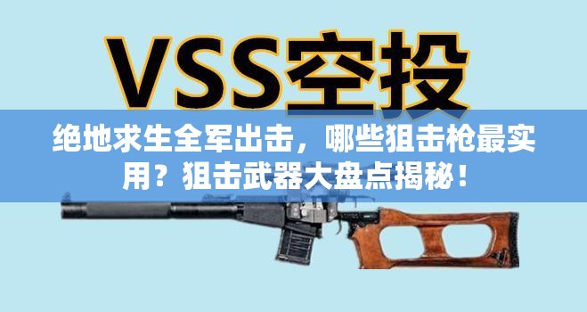 绝地求生全军出击，哪些狙击枪最实用？狙击武器大盘点揭秘！